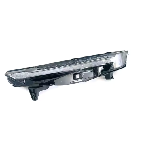 GWM H2/H6 LED DTR Lamp F/L ea