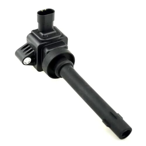 GWM H6C Ignition Coil BDW-IN-107 3705100-XEC01
